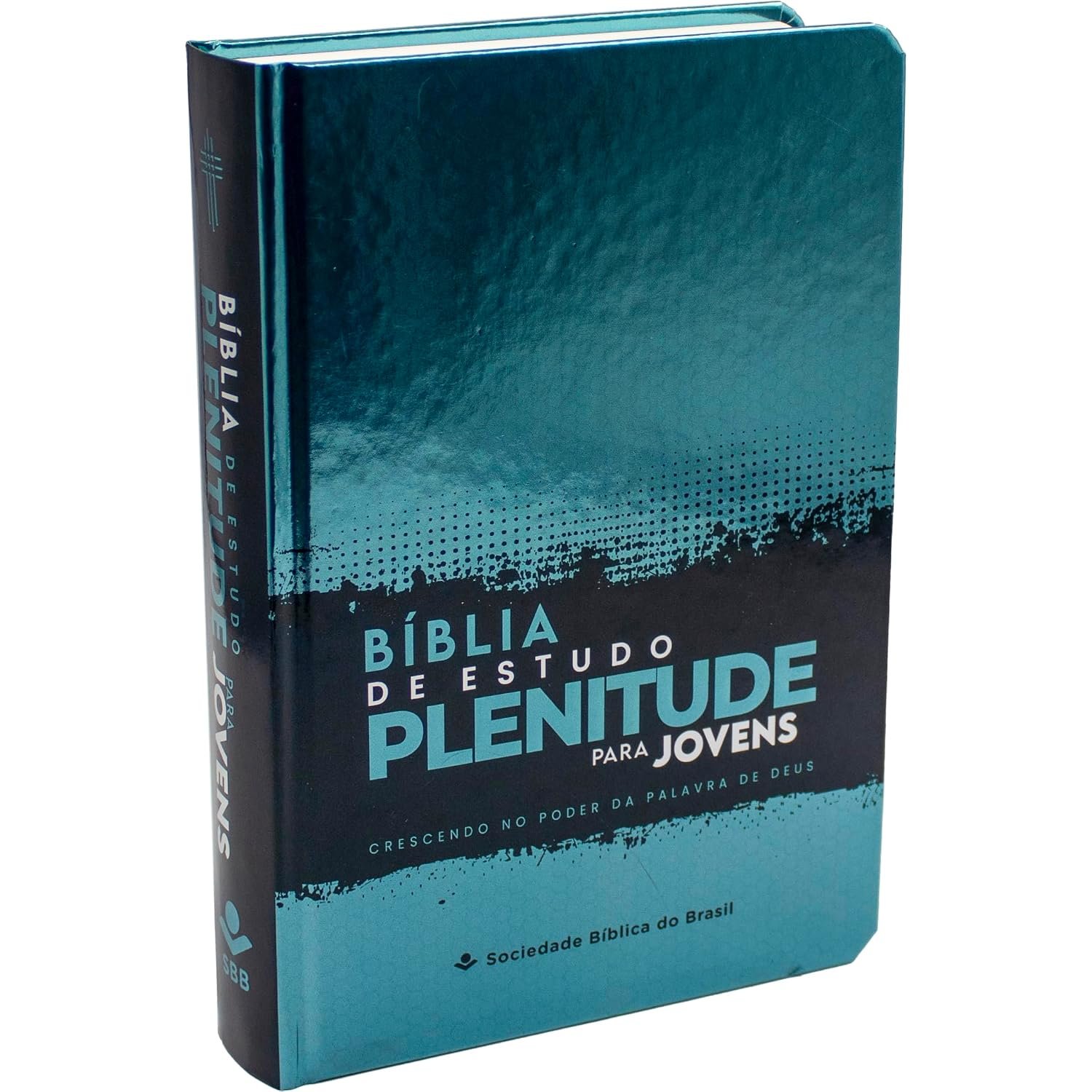 Bíblia de Estudo Plenitude para Jovens NTLH Capa Dura Azul